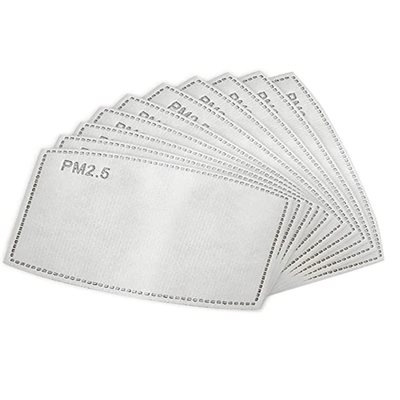 Replacement Filter for Mask PM 2.5 (10 units) -