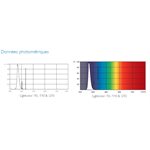 Neon U.V. 9 Watts Ocius -