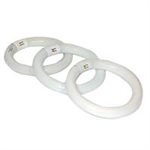 NEON LOUPE CIRCULAIRE COOL WHITE 22W pour fut64