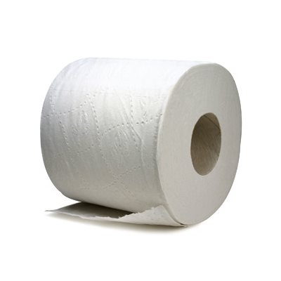 PAPIER TOILETTE (30)