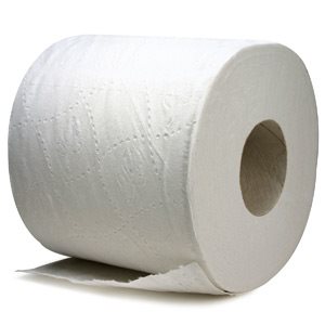 PAPIER TOILETTE (30)