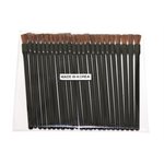 DISPOSABLE LIP BRUSH (25)