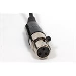 Daisy Porte Filament Complet Compatible Appareil Apilus