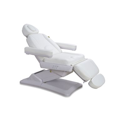 Silver Fauteuil Facial Electrique 3 Sections avec Bras et Appuie Tete Silver Fauteuil Facial Electrique 3 Sections avec Bras et Appuie Tete
