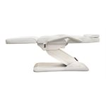 Silver ELECTRICAL FACIAL BED with 3 motors 3 Controls