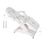 Silver ELECTRICAL FACIAL BED with 3 motors 3 Controls