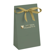 Janssen Sac Cadeau Noeud Papillon 2023 small green (1) -
