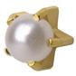 M1301Y White Pearl Tiffany Ear Rings Gold 2mm (pair) +